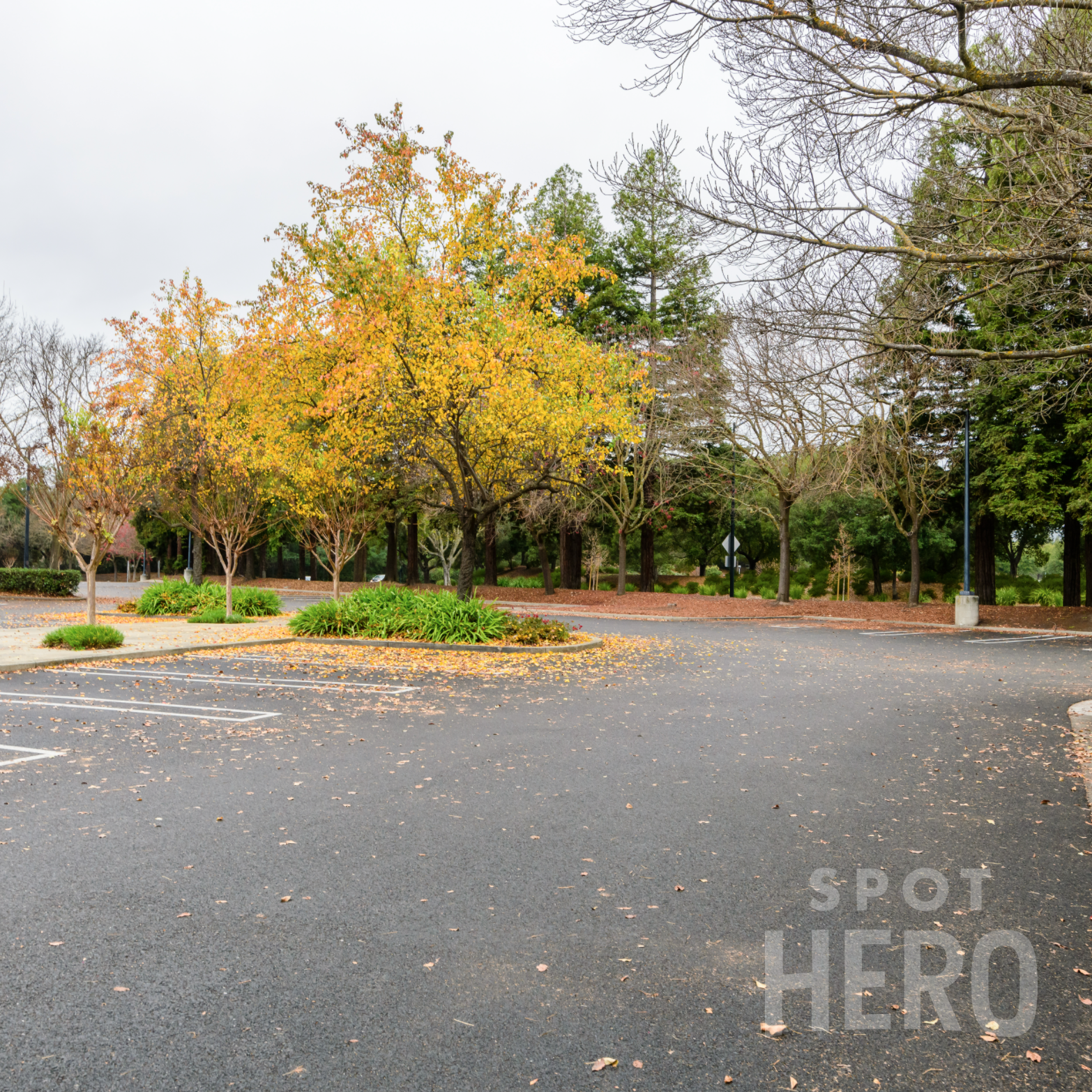 2600 Bishop Drive Parking