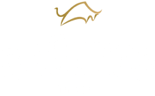 Gauchos Do Sul- Vintage Park logo