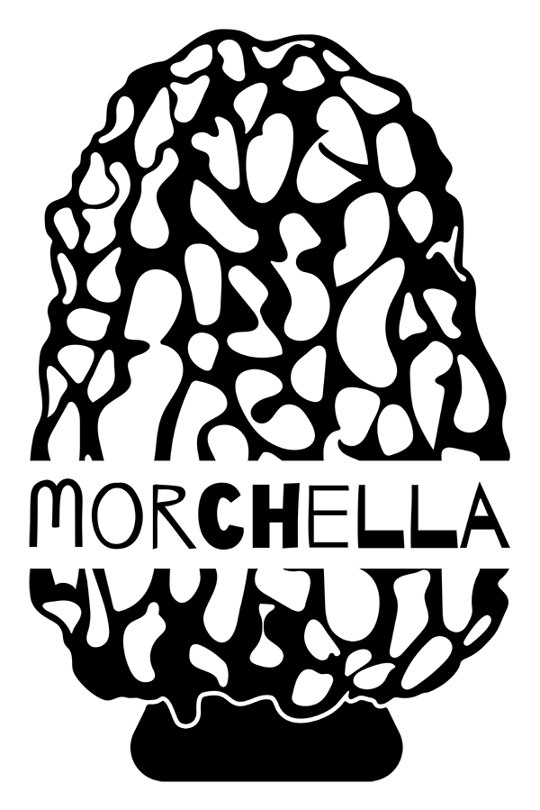 Morchella PDX logo