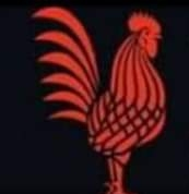 Red Rooster Sports Bar & Grill logo