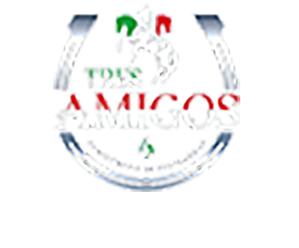 Tres Amigos (Dell Range) logo