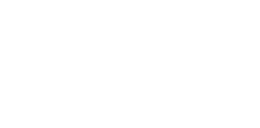 Dundee Tavern logo