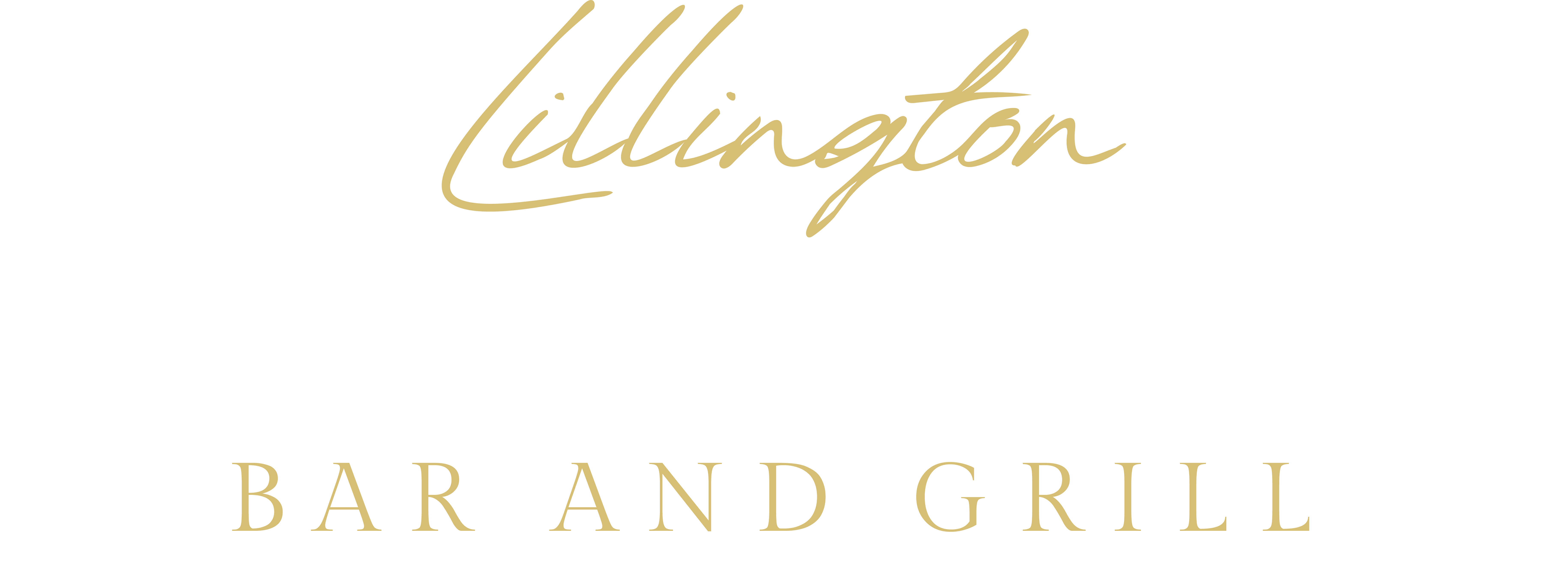 Lillington Sports Zone logo