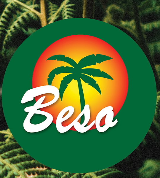 Brooklyn Beso Restaurant & Bar logo