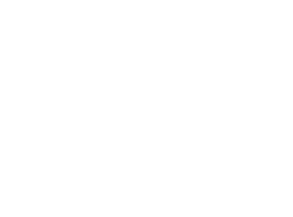 NYPP New York Pizza Pasta logo