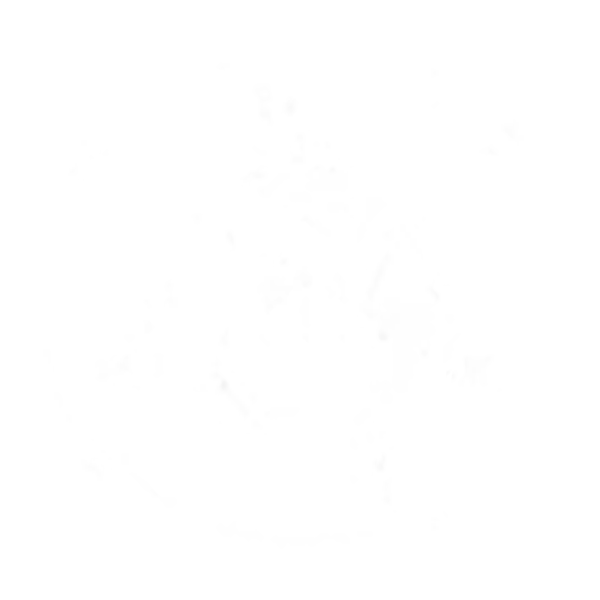 Wolf Island Oyster Co. logo