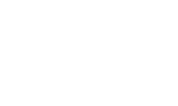 The West Side Sports Bar & Grill logo