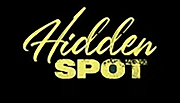 Hidden Spot logo