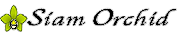 Siam Orchid Thai Restaurant logo