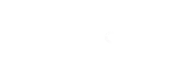 Bridges Danville logo