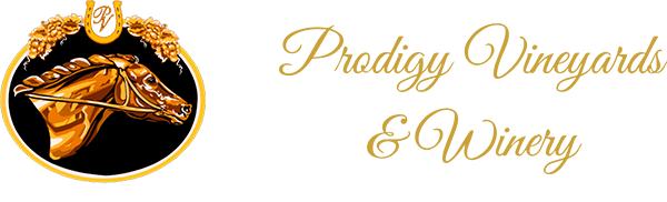 Prodigy Vineyards & Winery logo