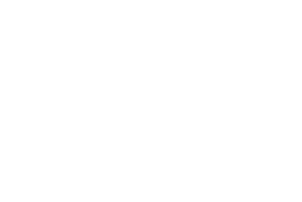 Holt Brothers BBQ - Darlington logo