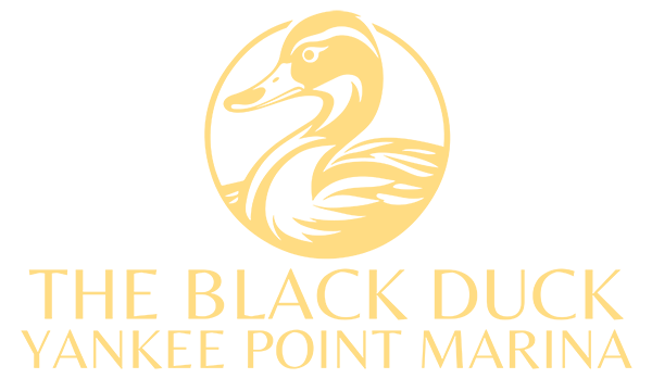 The Black Duck logo