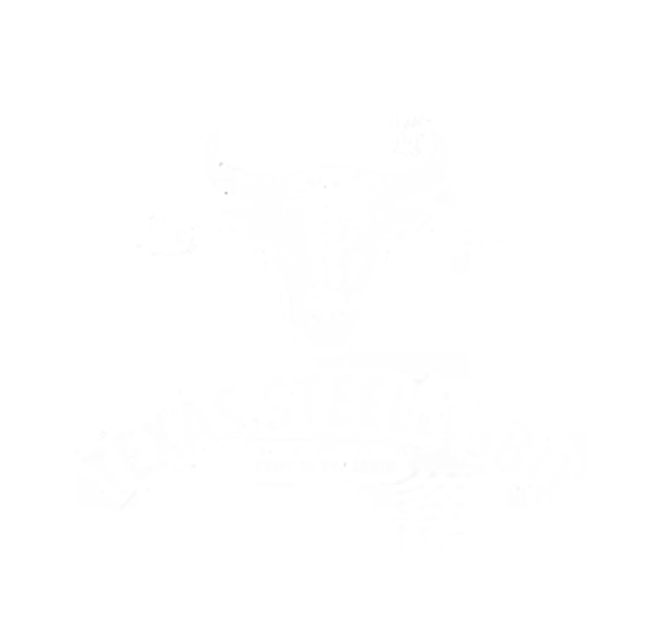 Texas Steele BBQ logo