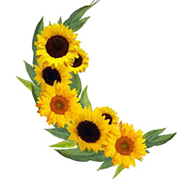 Sunflower Kitchen logo
