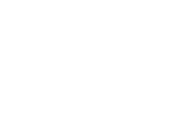 Bro's Pizzeria and Bar logo