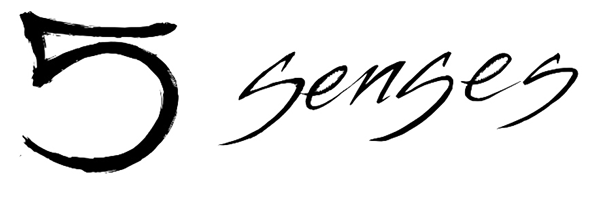 5 Senses logo