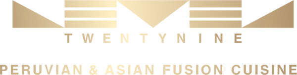Level TwentyNine logo