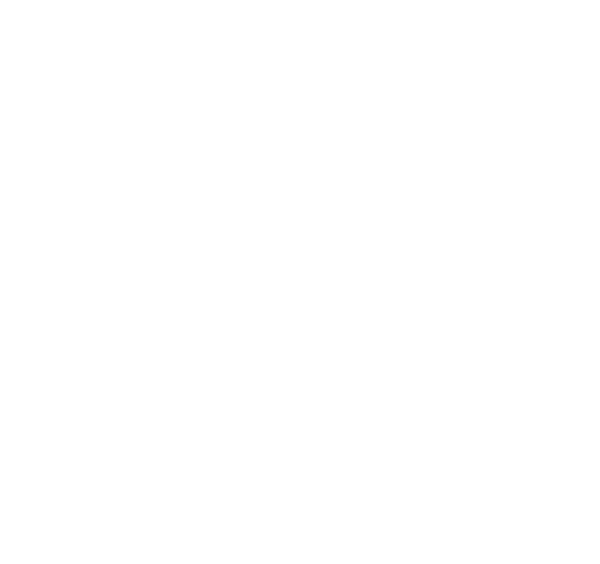 Betty Lou Coffee CO logo