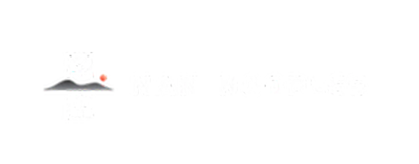 Nan Noodles logo