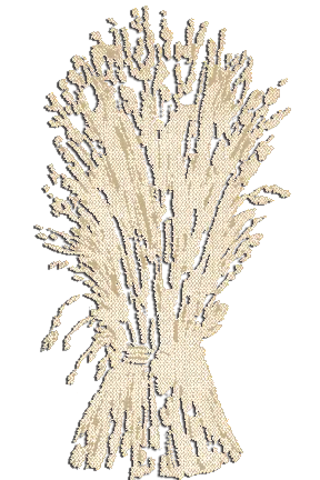 Moonside Bakery & Cafe logo