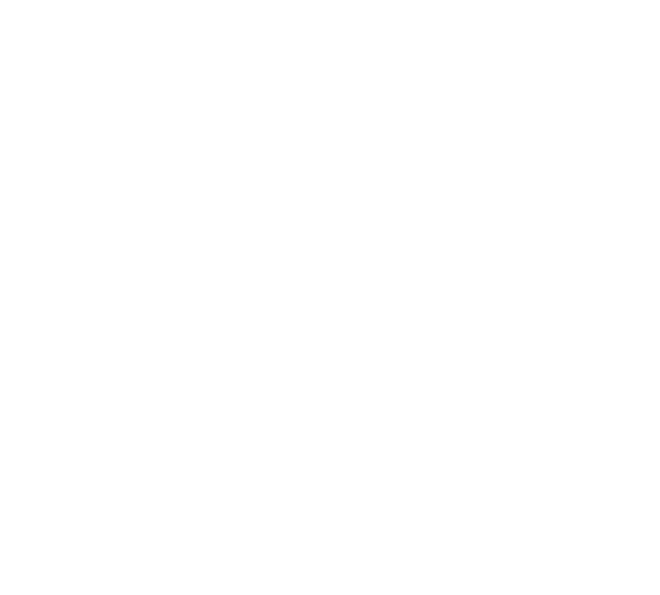Runaway Whiskey & Wine logo