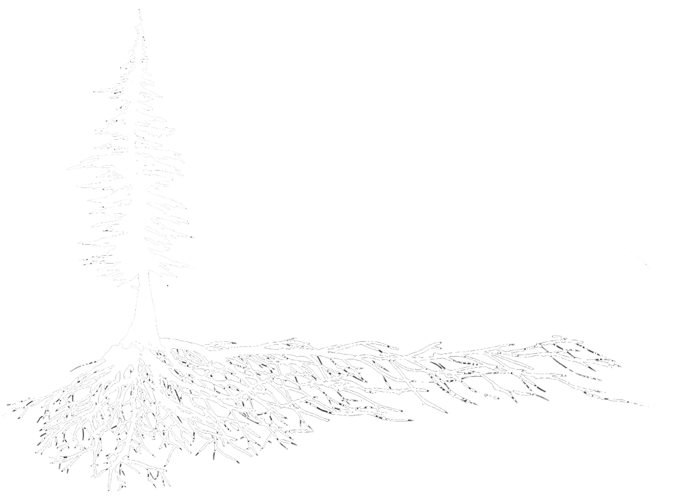 Pacific House logo