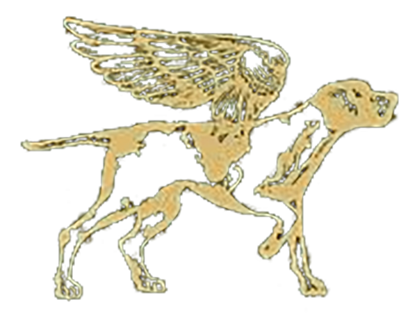 BIRDOG logo