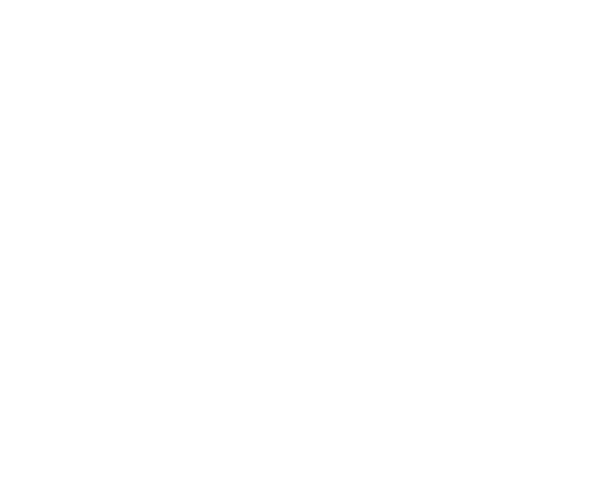 Skoog's Pub & Grill logo