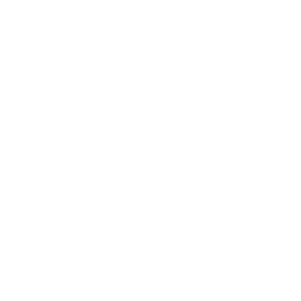 Rio Grande Tex Mex Restaurant logo