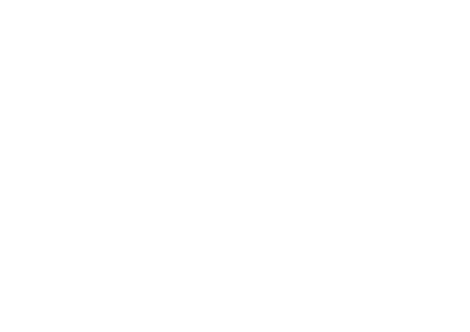 Stiles Switch BBQ logo