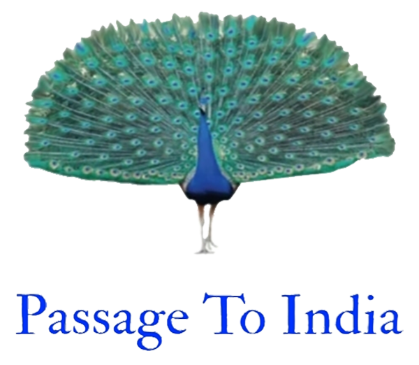Passage To India logo