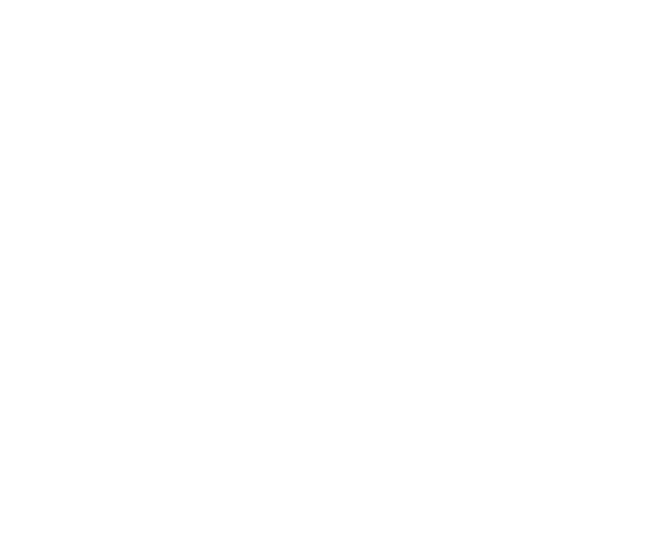 The Valley Bar & Grill logo