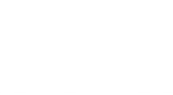 Hermie Sadler's Fosho Bar & Grille logo