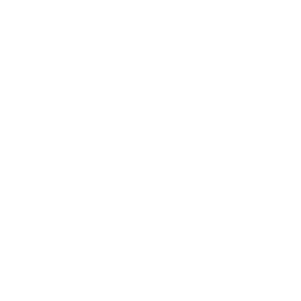 Full House Chinese Fusion Cuisine logo