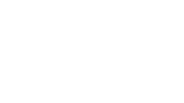 Solar Brewing Company logo