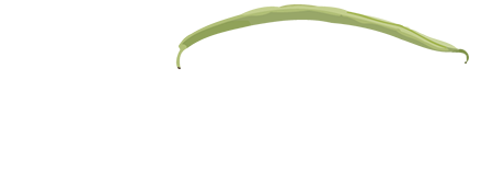 The String Bean logo