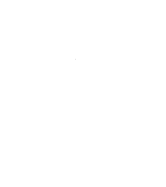 Juan's Flying Burrito logo