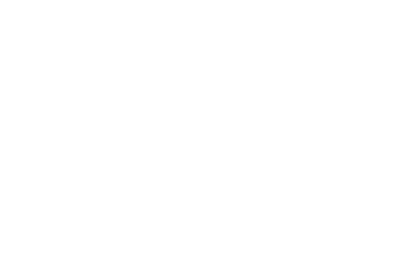 Bugsy’s Entertainment logo
