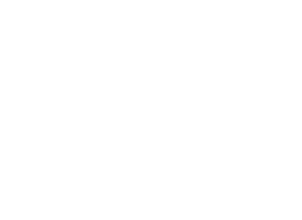 Amei’s bistro and lounge logo