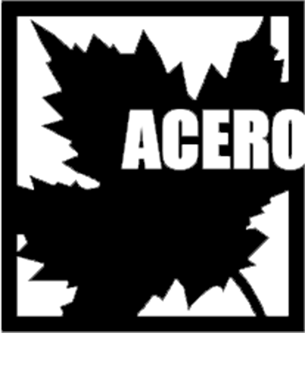 Acero logo