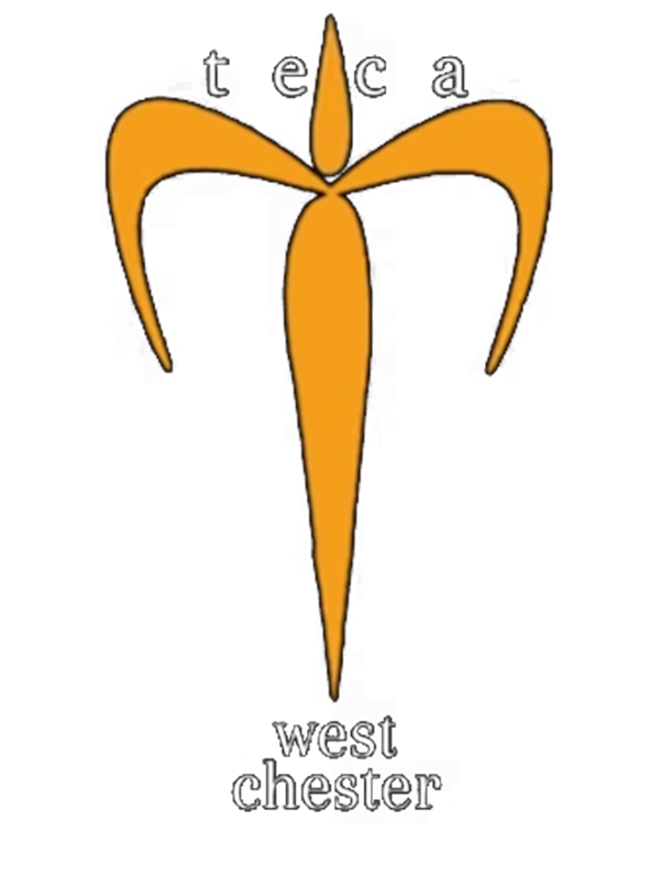 Teca Restaurant and Bar logo