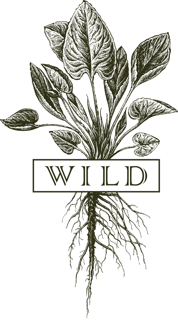 Wild logo