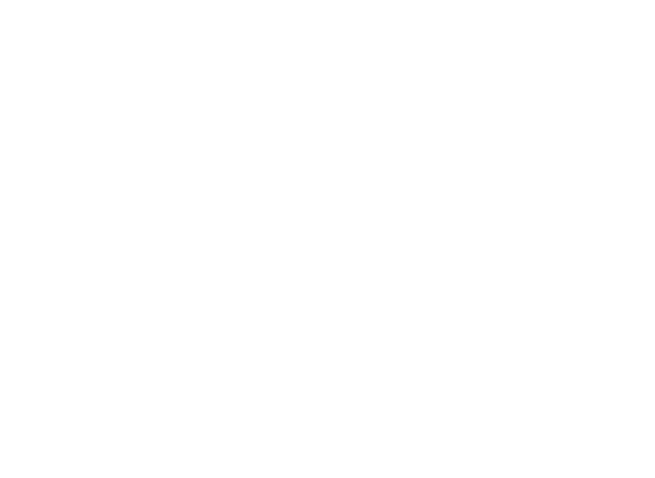 Birria Kings logo