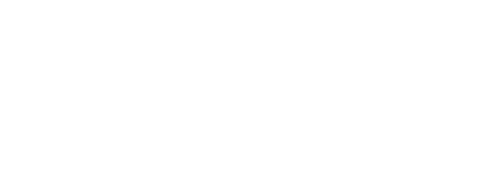 Pho Thaison logo