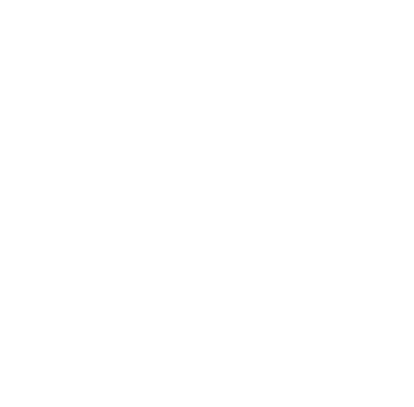 Bouldin Acres - Lamar logo