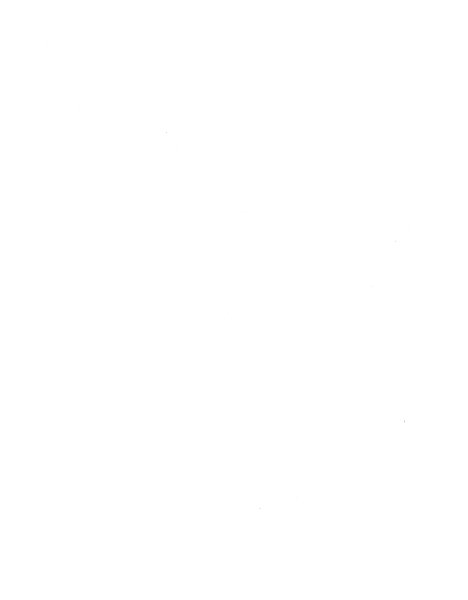 Bad Rabbit Coffee logo
