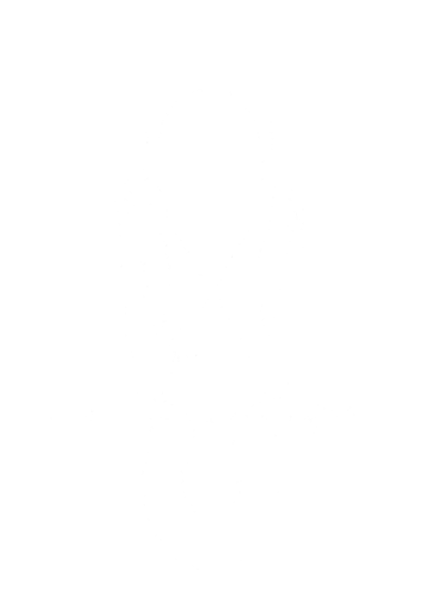 Brix and Stones logo