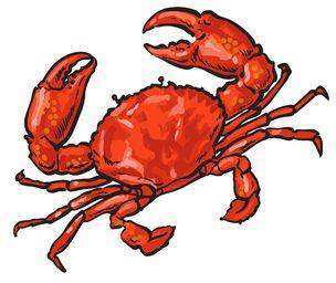 Sloppy Crab logo