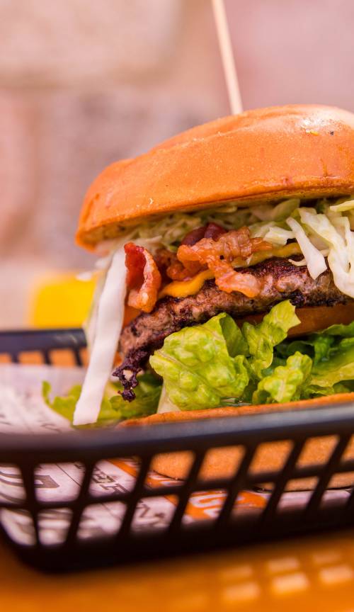 slideshow photo number 1